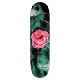 Boserio Amaryllis 8.38 deck
