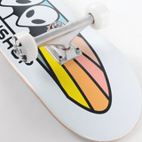 Spectrum 7.75 complete skateboard