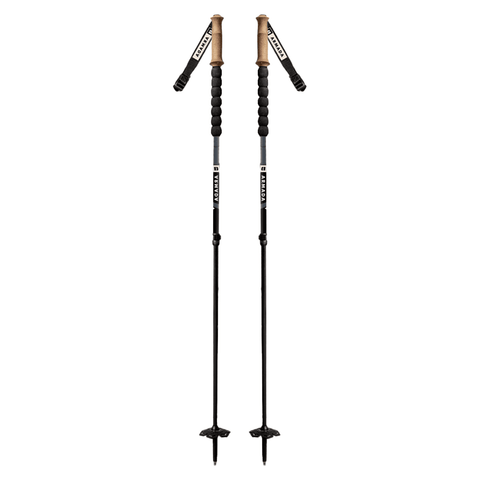 Carbon adjustable poles - Indigo / Black