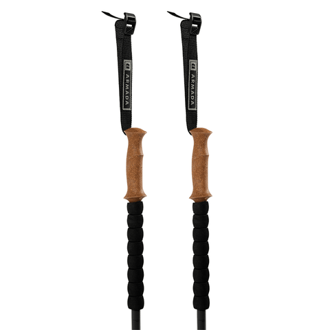 Carbon adjustable poles - Black