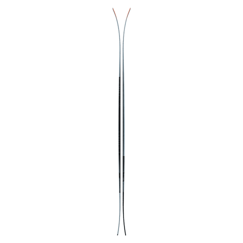 Backland 102 skis 2025