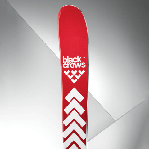 Camox skis 2026