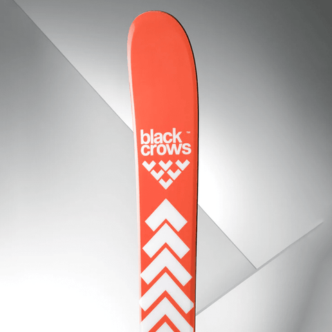 Camox birdie women's skis 2026