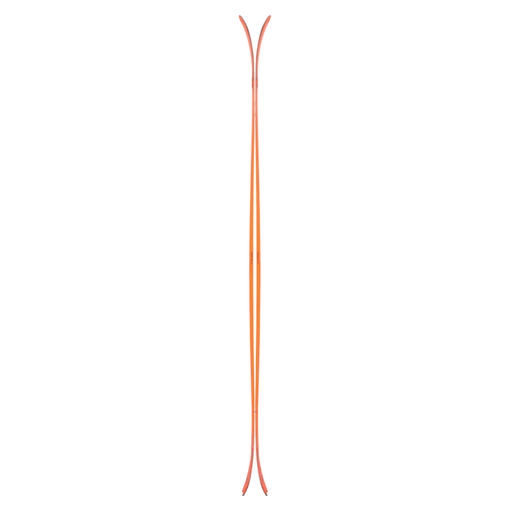 Draco freebird skis 2024