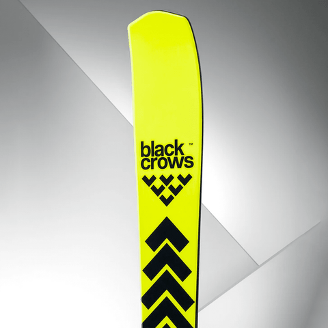 Octo skis 2026