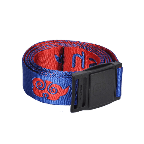 Belt #22