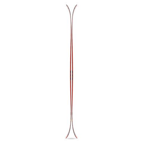 Reckoner 110 skis 2026
