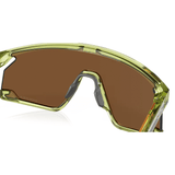 BXTR Coalesce sunglasses - Transparent fern / Prizm™ bronze