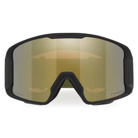 Line miner L goggle - Matte B1B fern / Prizm sage gold iridium