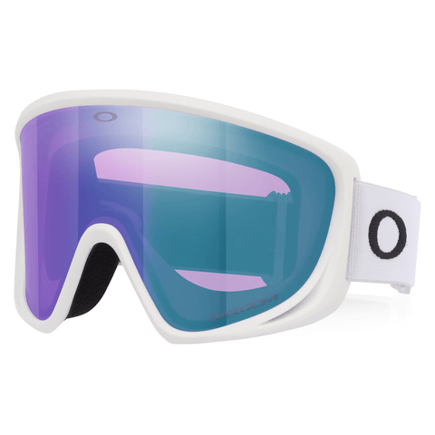Mont scape L goggle - Matte white / Prizm iced iridium
