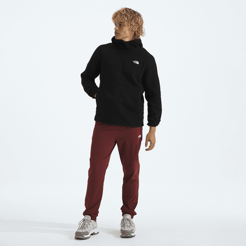 Glacier fleece pullover hoodie - TNF black